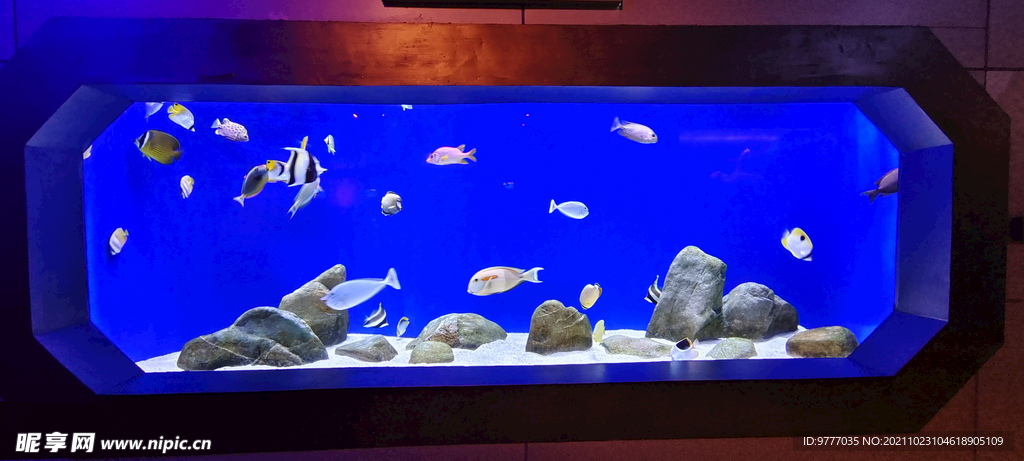海底世界