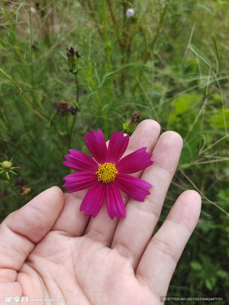 花