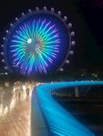 宝安海滨公园摩天轮