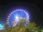宝安海滨公园摩天轮
