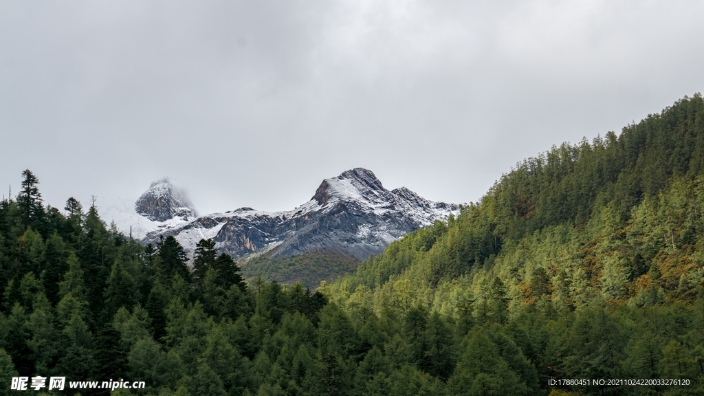 山林