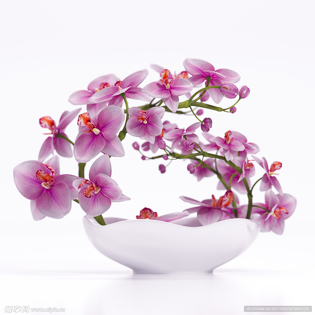 花卉数码油画