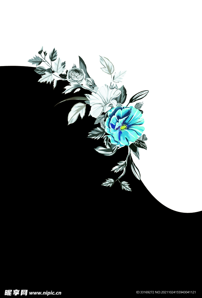 黑白花