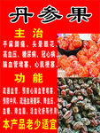 干果