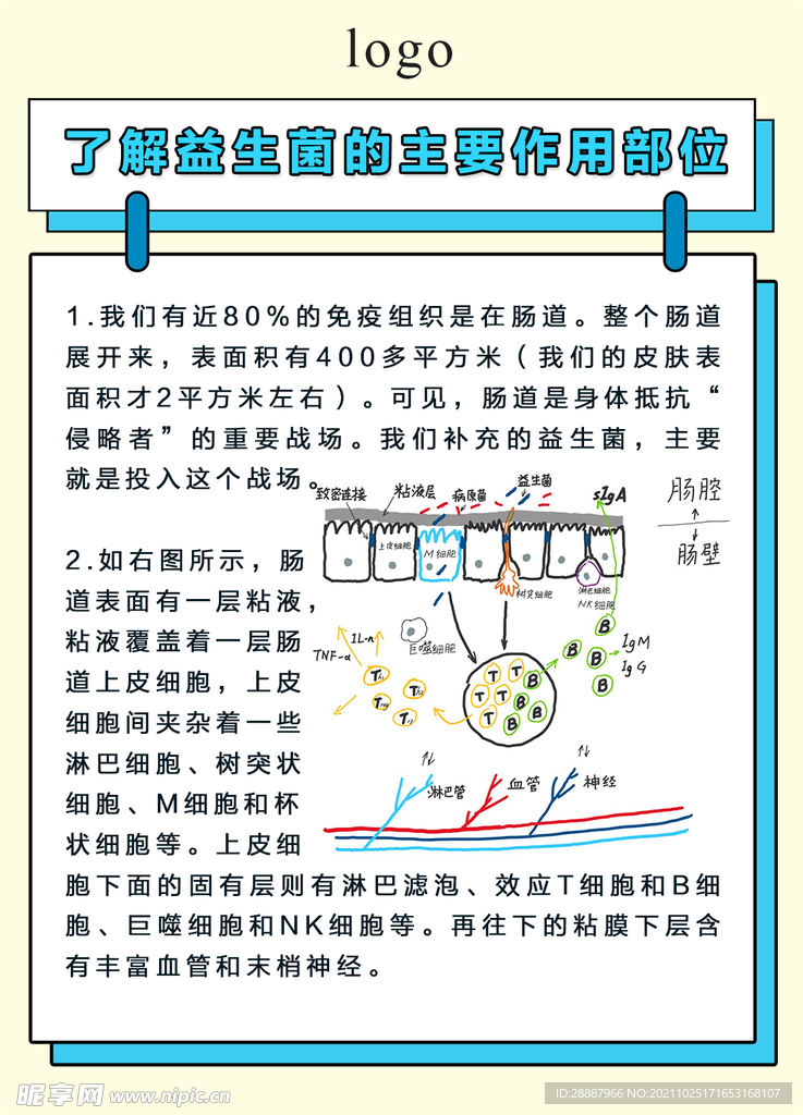 小儿益生菌