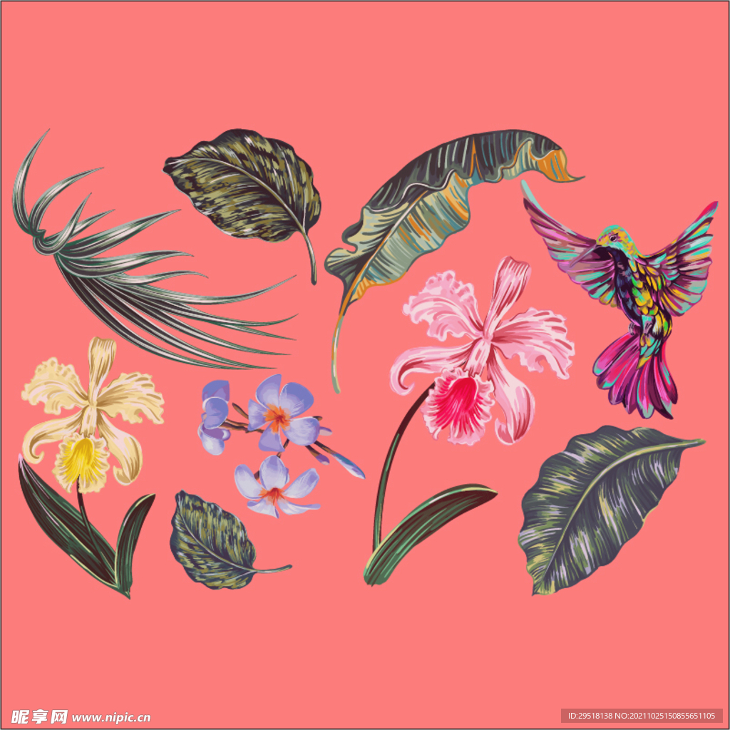 热带素材