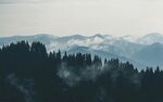 山 森林