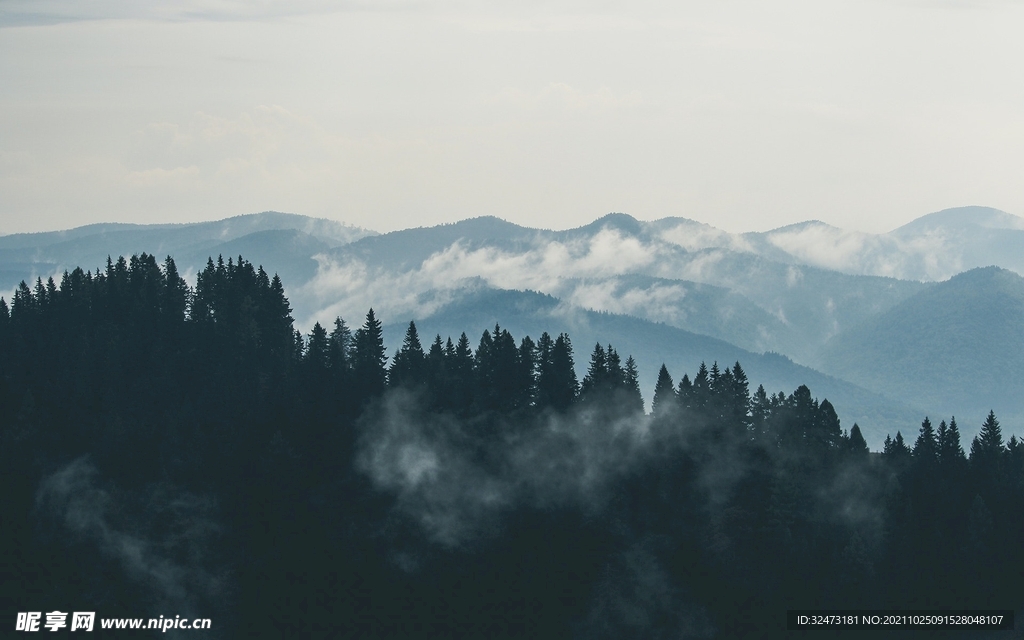 山 森林