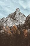 大山 树林