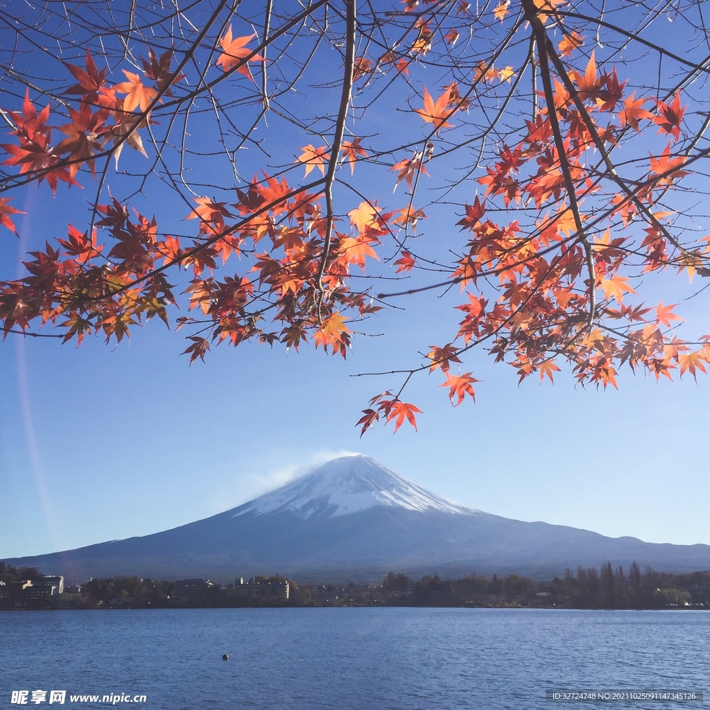 富士山