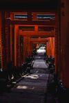 日本景色