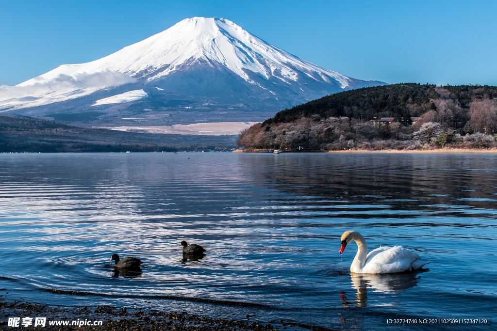 日本富士山