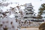 日本风景