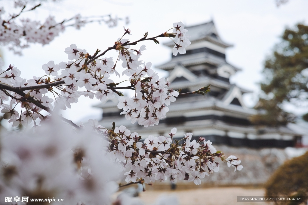 日本风景
