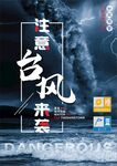 台风