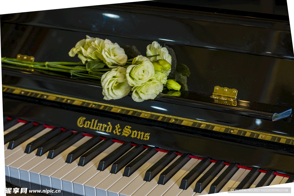 钢琴键上的鲜花