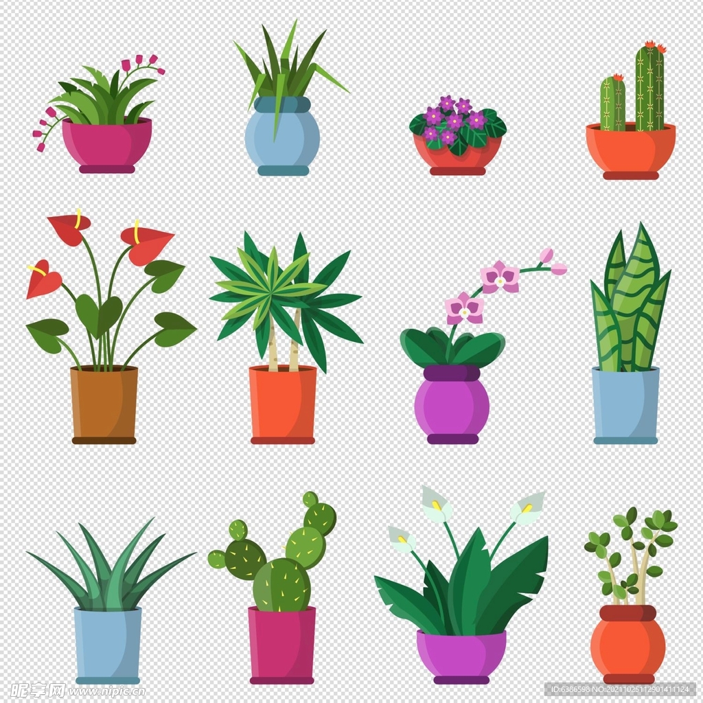 盆栽植物