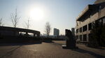 中央美术学院校园冬日景
