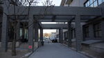 中央美术学院校园冬日景