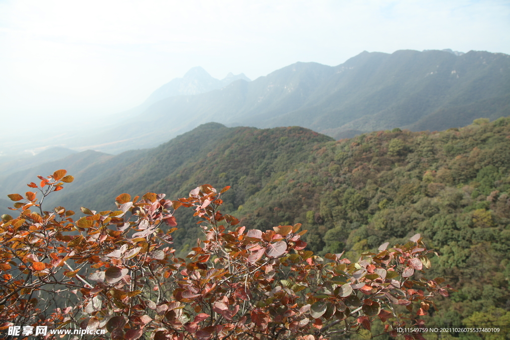 嵩山秋景