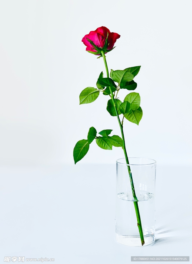 插花