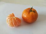 砂糖橘