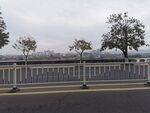 路边