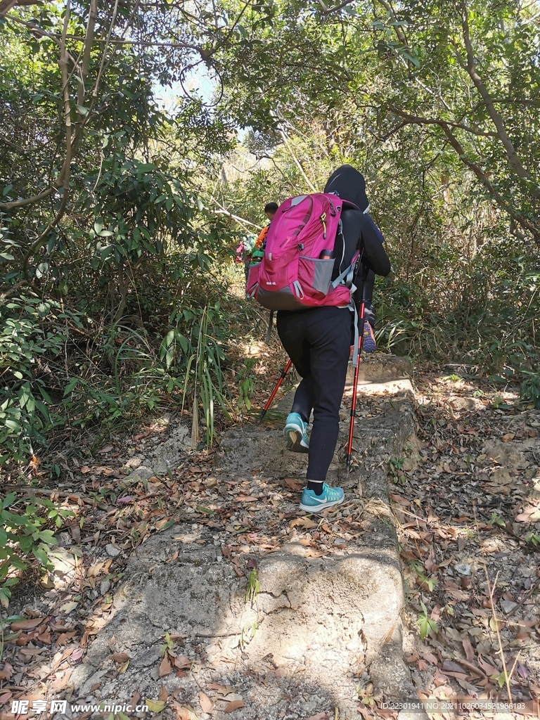登山 