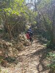 爬山