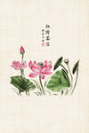 中国工笔画合成背景模板