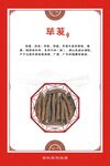 荜茇