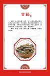 甘菘