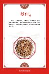 砂仁