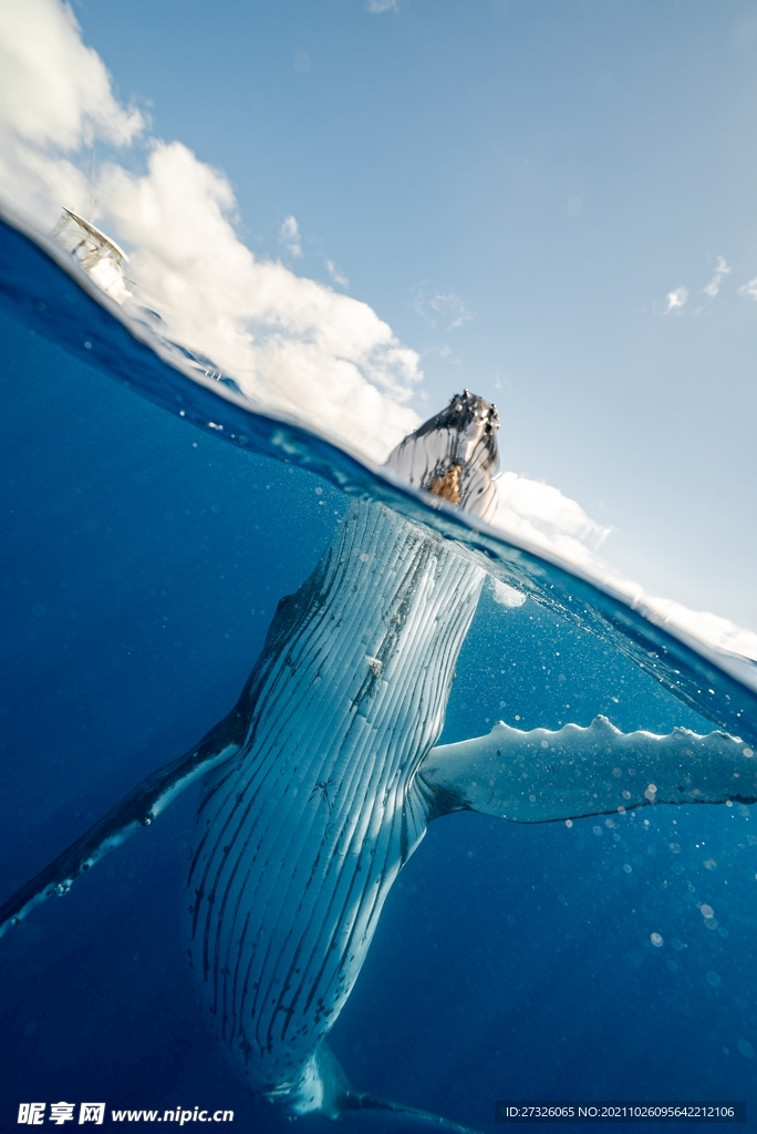  海水