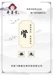 肾养生