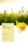 小满
