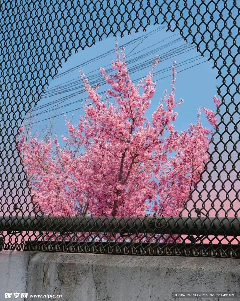 秋日一撇