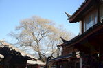 丽江街景素材 