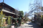 丽江街景素材 