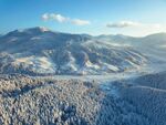 松树林雪景