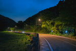 杭州梅家坞夜景