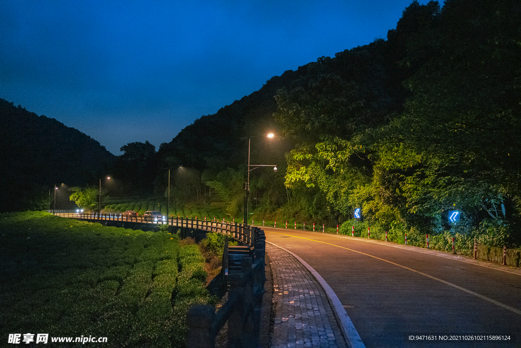 杭州梅家坞夜景