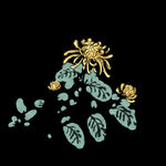 热带植物