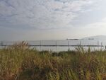 大海