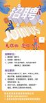 招聘展架内页