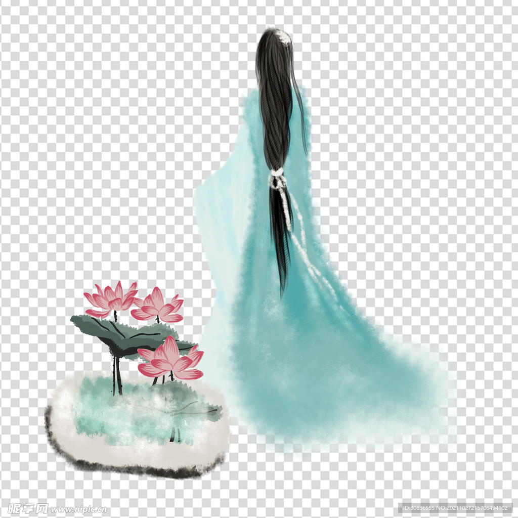 荷花 莲花 