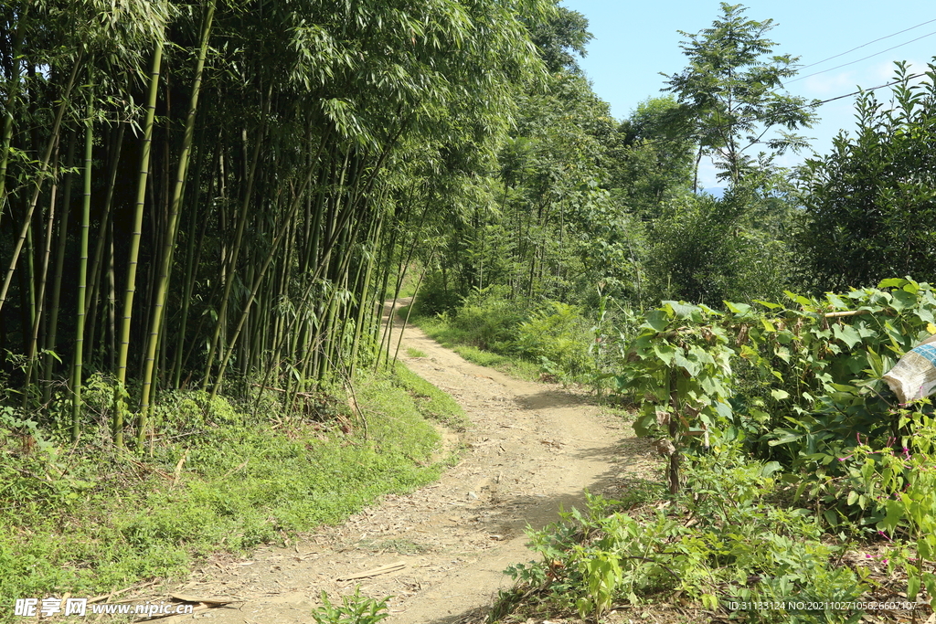 乡村 旅游 摄影 山路