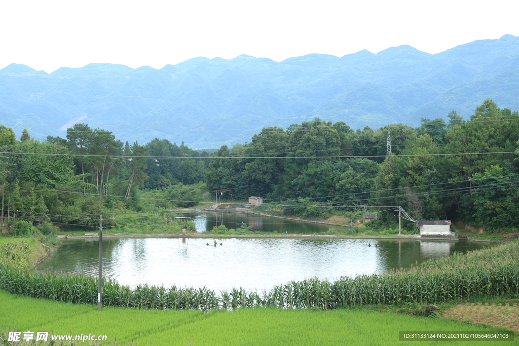 乡村旅游摄影鱼塘