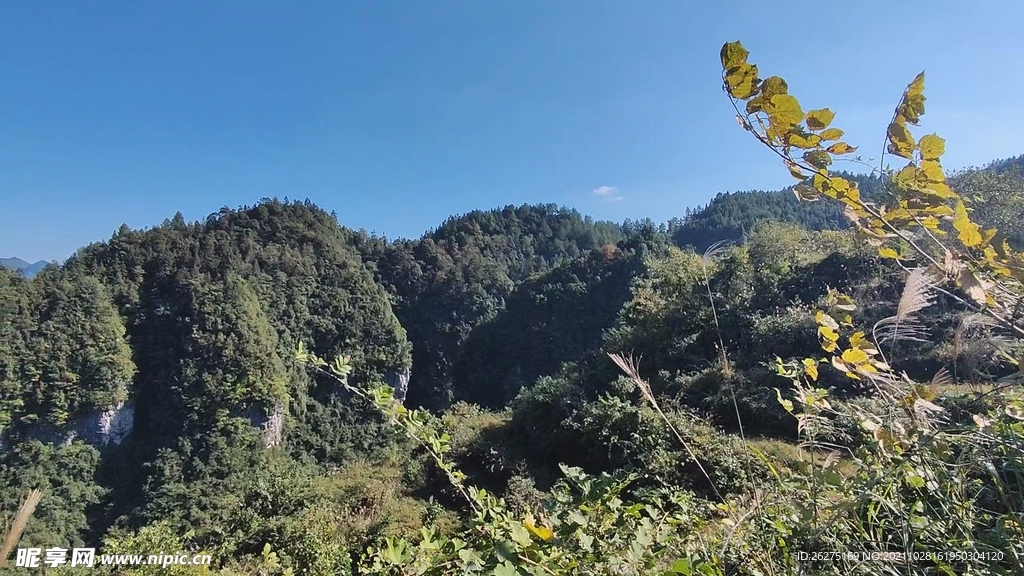 桴焉红岩大淌自然风光