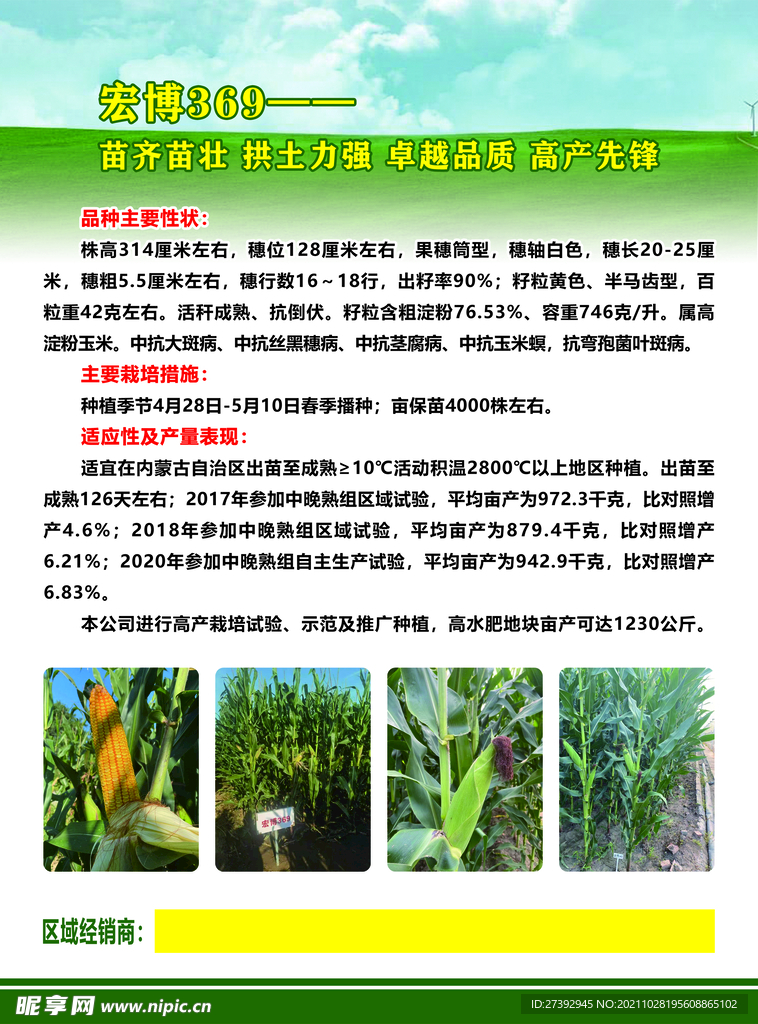 玉米传单